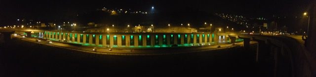Gece Aydınlatmalı Dikey Bahçe Uygulaması